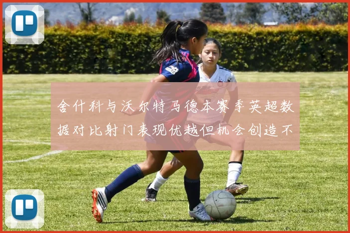 舍什科与沃尔特马德本赛季英超数据对比射门表现优越但机会创造不足